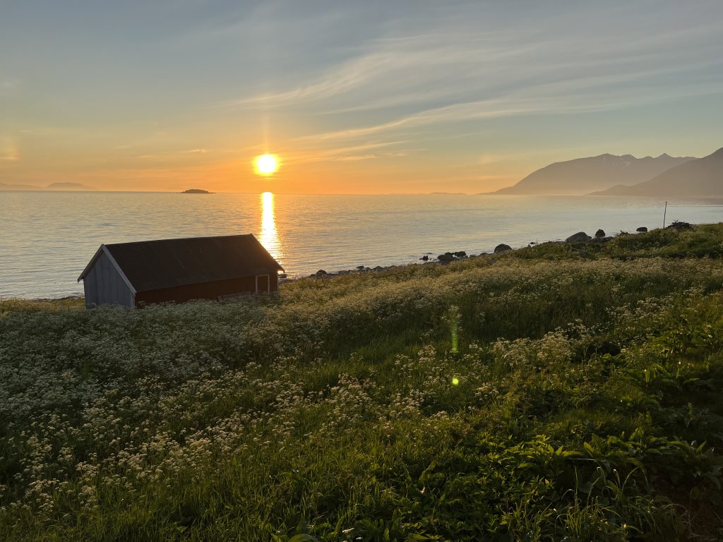 Midnight sun 2022